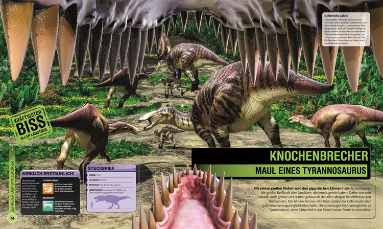 Produktbild: Super-Dinos