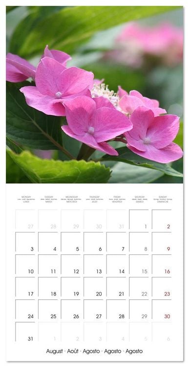 Produktbild: ENCHANTING FLOWERS (Wall Calendar 2026 12 &times; 12 Inch) CALVENDO 12 Month Wall Calendar