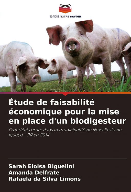 Produktbild: &Eacute;tude de faisabilit&eacute; &eacute;conomique pour la mise en place d'un biodigesteur