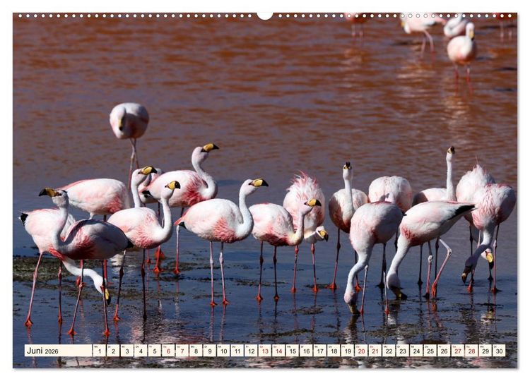 Produktbild: ATACAMA Wunder der Natur (hochwertiger Premium Wandkalender 2026 DIN A2 quer), Kunstdruck in Hochglanz