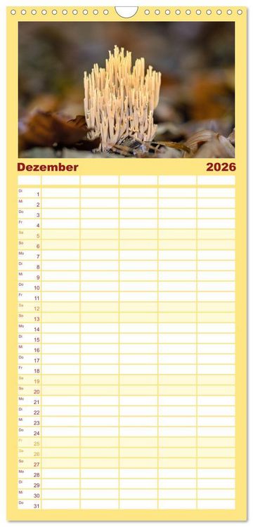 Produktbild: Familienplaner 2026 - Fantastische Pilzwelten mit 5 Spalten (Wandkalender, 21 x 45 cm) CALVENDO