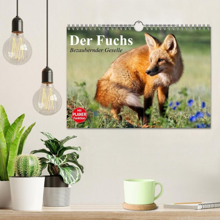Produktbild: Der Fuchs. Bezaubernder Geselle (Wandkalender 2026 DIN A4 quer), CALVENDO Monatskalender