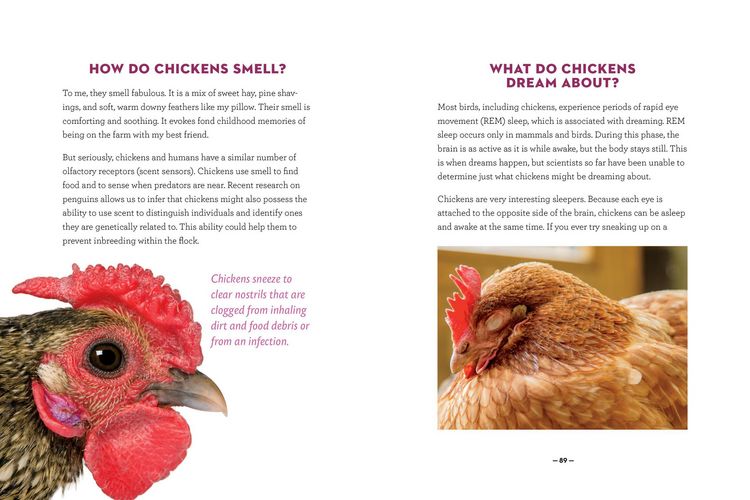 Produktbild: How to Speak Chicken