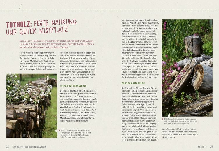 Produktbild: Richtig gute Pflanzen für Insekten