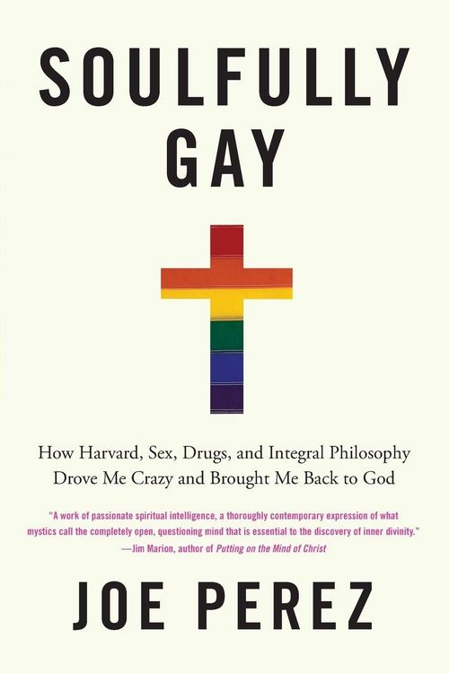 Produktbild: Soulfully Gay