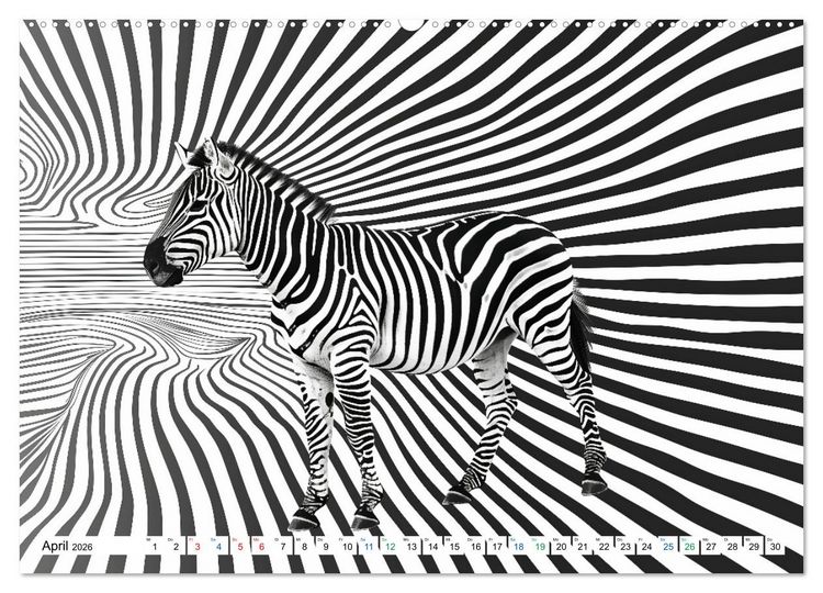 Produktbild: ZEBRAS - Modern Art (hochwertiger Premium Wandkalender 2026 DIN A2 quer), Kunstdruck in Hochglanz