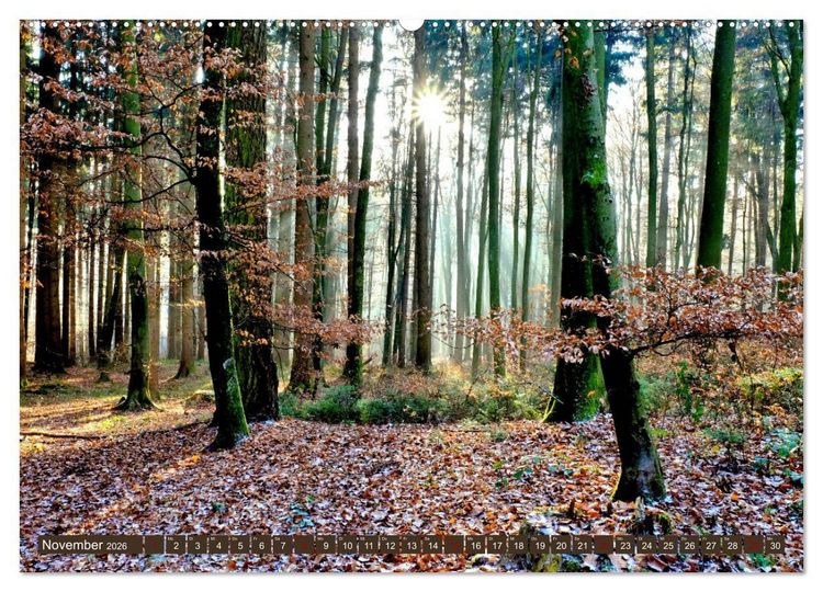 Produktbild: Wiesen W&auml;lder Weiher. Der Naturpark Augsburg-Westliche W&auml;lder (hochwertiger Premium Wandkalender 2026 DIN A2 quer), Kunstdruck in Hochglanz