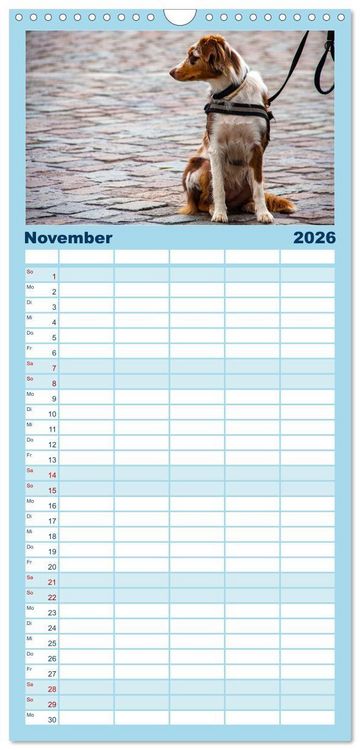 Produktbild: Familienplaner 2026 - Witzige Fellnasen mit 5 Spalten (Wandkalender, 21 x 45 cm) CALVENDO