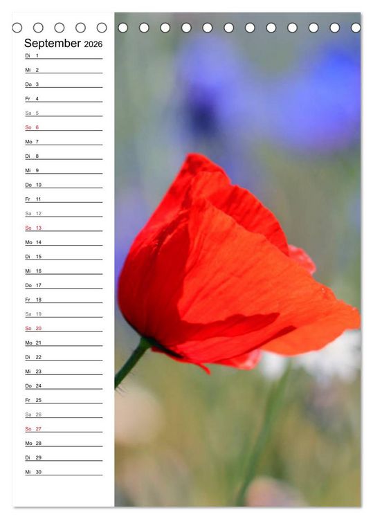 Produktbild: Mohn, zarte Bl&uuml;ten, starke Farben, der Geburtstagskalender (Tischkalender 2026 DIN A5 hoch), CALVENDO Monatskalender