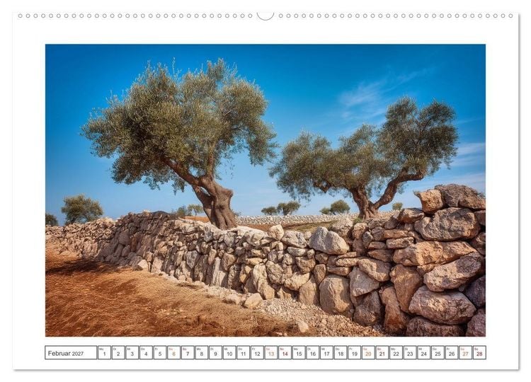 Produktbild: Die Magie der Olivenhaine (Wandkalender 2027 DIN A2 quer), CALVENDO Monatskalender