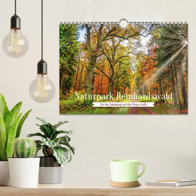 Produktbild: Naturpark Reinhardswald - Wo die Sababurg auf die Weser trifft (Wandkalender 2027 DIN A4 quer), CALVENDO Monatskalender