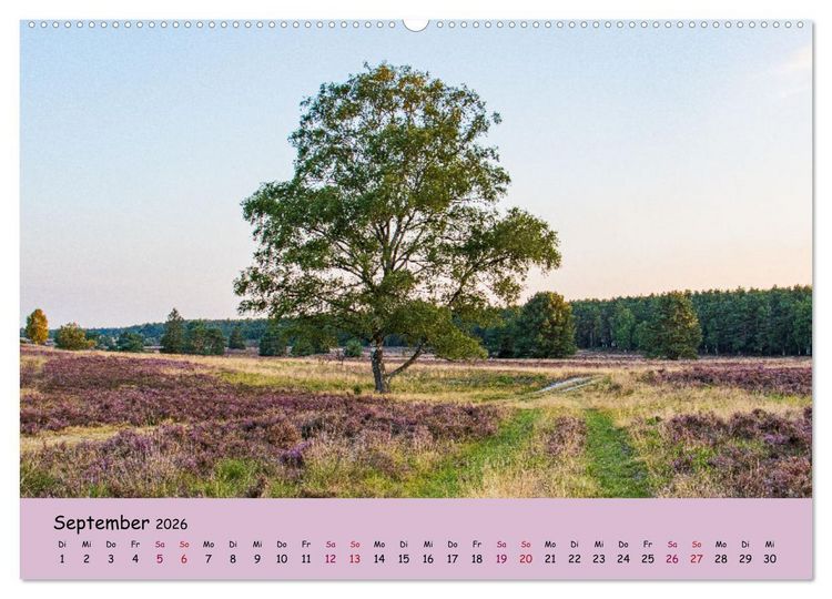 Produktbild: L&uuml;neburger Heide Wege (Wandkalender 2026 DIN A2 quer), CALVENDO Monatskalender