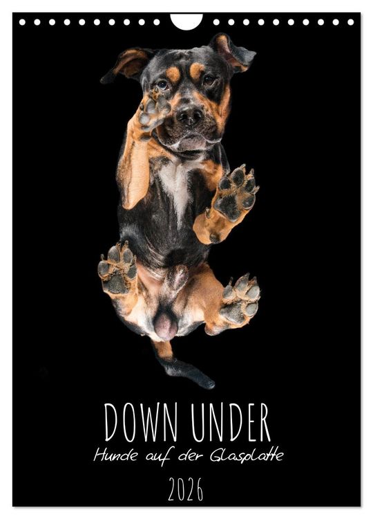 Produktbild: Down Under - Hunde auf der Glasplatte (Wandkalender 2026 DIN A4 hoch), CALVENDO Monatskalender