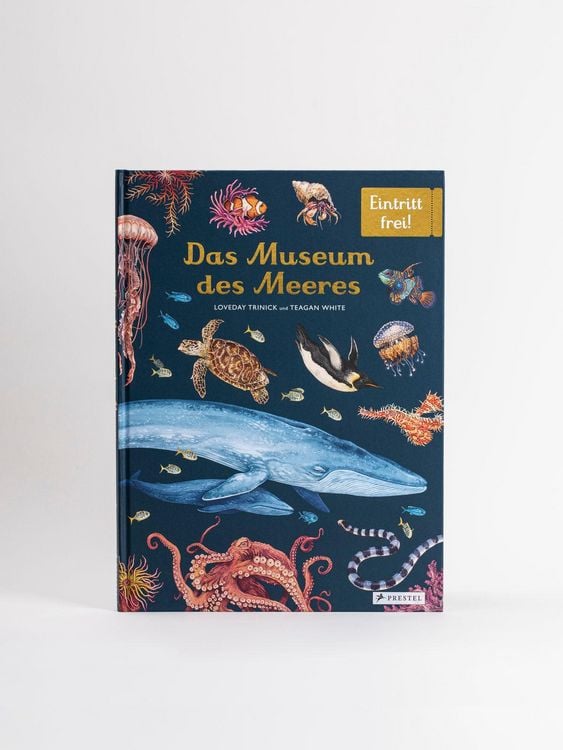 Produktbild: Das Museum des Meeres