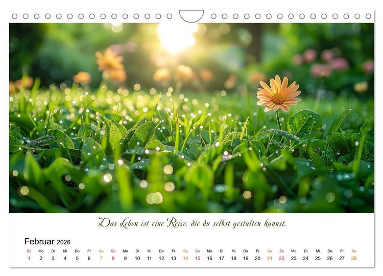 Produktbild: Freu Dich Motivations-Kalender (Wandkalender 2026 DIN A4 quer), CALVENDO Monatskalender