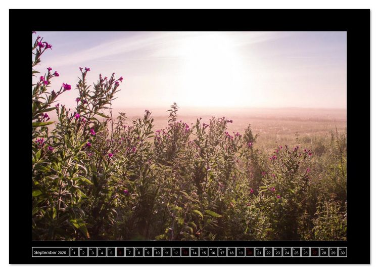 Produktbild: Lichtlandschaft Worpswede (Wandkalender 2026 DIN A4 quer), CALVENDO Monatskalender