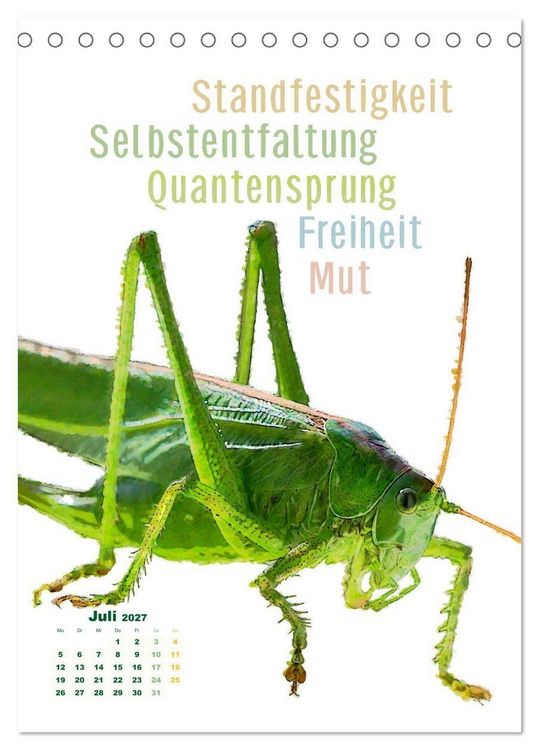 Produktbild: Krafttiere - Inspirierende Begleiter voller Magie und Seele (Tischkalender 2027 DIN A5 hoch), CALVENDO Monatskalender