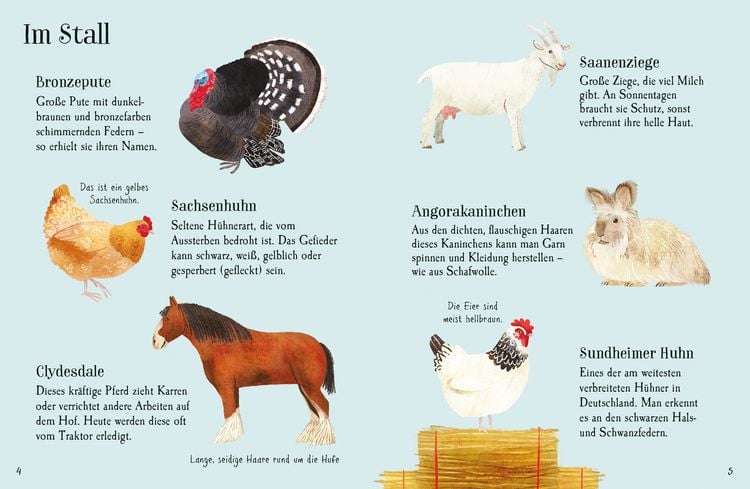 Produktbild: Usborne Minis Naturf&uuml;hrer: Tiere auf dem Bauernhof