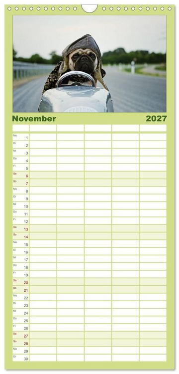 Produktbild: Familienplaner 2027 - Der MOPS-Kalender mit 5 Spalten (Wandkalender, 21 x 45 cm) CALVENDO