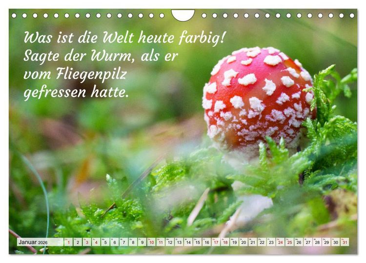 Produktbild: Junge, was hast du`s eilig (Wandkalender 2026 DIN A4 quer), CALVENDO Monatskalender