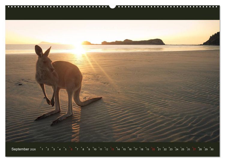 Produktbild: Australien - Farbige Vielfalt (Wandkalender 2026 DIN A2 quer), CALVENDO Monatskalender