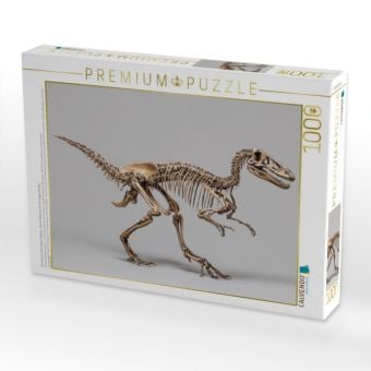 Produktbild: CALVENDO Puzzle Dinosaurier Velociraptor-Skelett - kleiner Raubsaurier mit langen Krallen | 1000 Teile Lege-Gr&ouml;&szlig;e 64x48cm Foto-Puzzle f&uuml;r gl&uuml;ckliche S