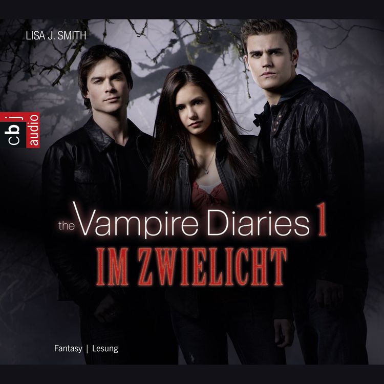 Im Zwielicht / The Vampire Diaries Bd. 1
