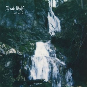 Produktbild: Evil Spirit