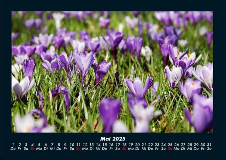 Produktbild: Blumentr&auml;ume 2025 Fotokalender DIN A4