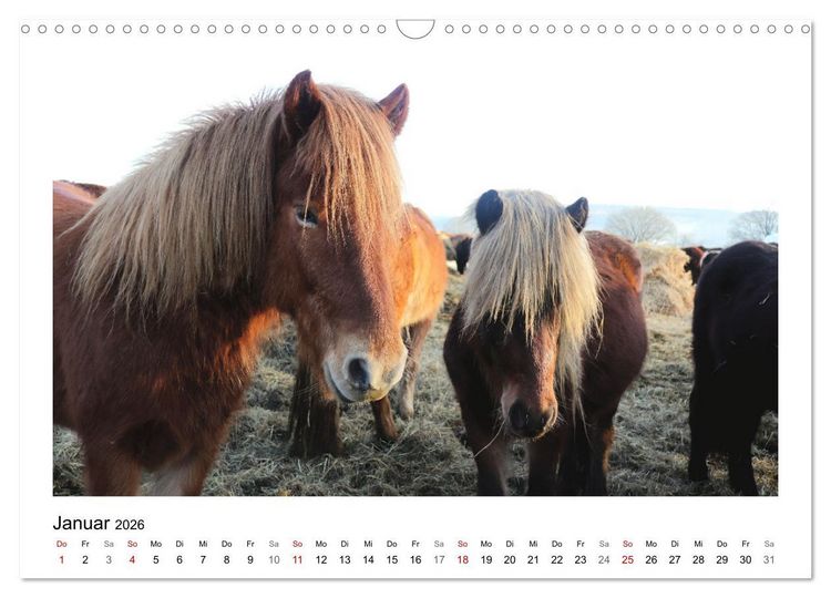 Produktbild: Bauernhoftiere hautnah (Wandkalender 2026 DIN A3 quer), CALVENDO Monatskalender