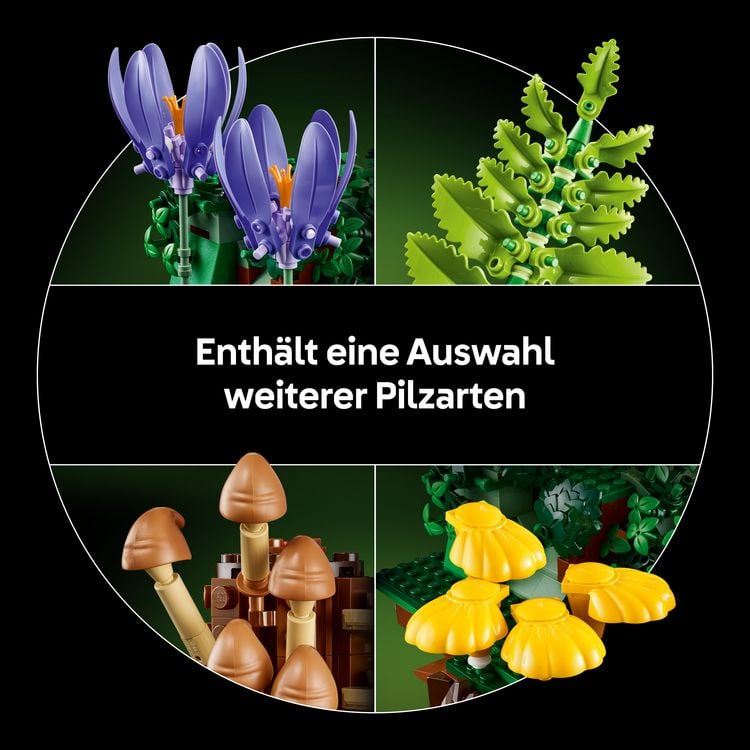 Produktbild: LEGO Botanicals 11505 Waldpilze, Modellbau f&uuml;r Erwachsene