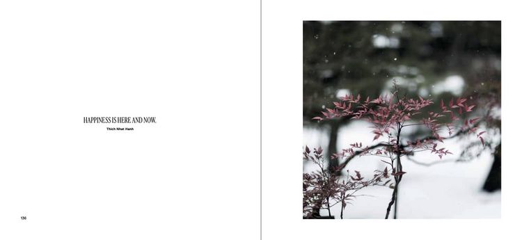 Produktbild: The Magic of Japanese Zen Gardens
