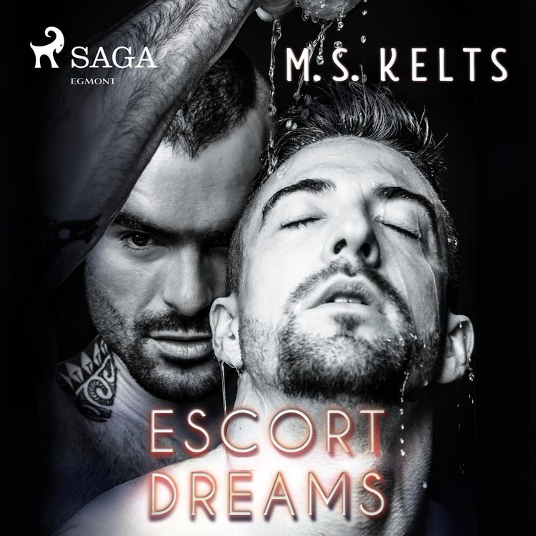 Produktbild: Escort Dreams (Dreams-Reihe): Gay Romance