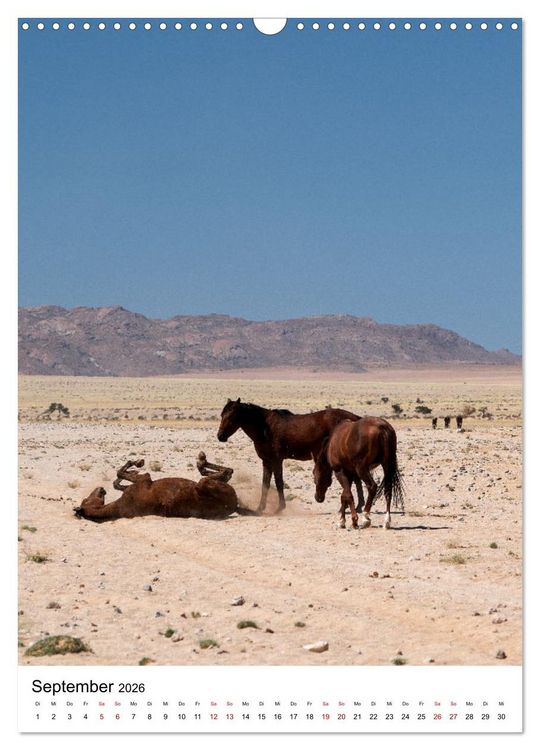 Produktbild: Naturparadies Namibia (Wandkalender 2026 DIN A3 hoch), CALVENDO Monatskalender