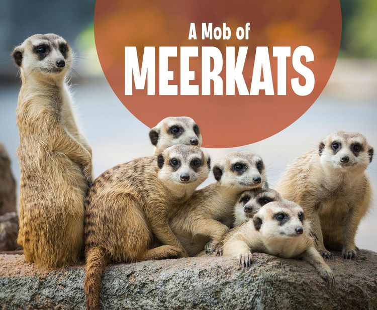 Produktbild: Mob of Meerkats