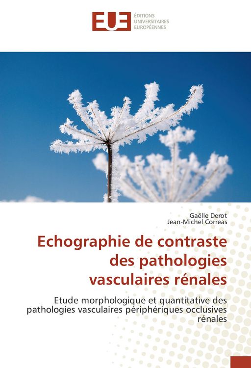 Produktbild: Echographie de contraste des pathologies vasculaires r&eacute;nales