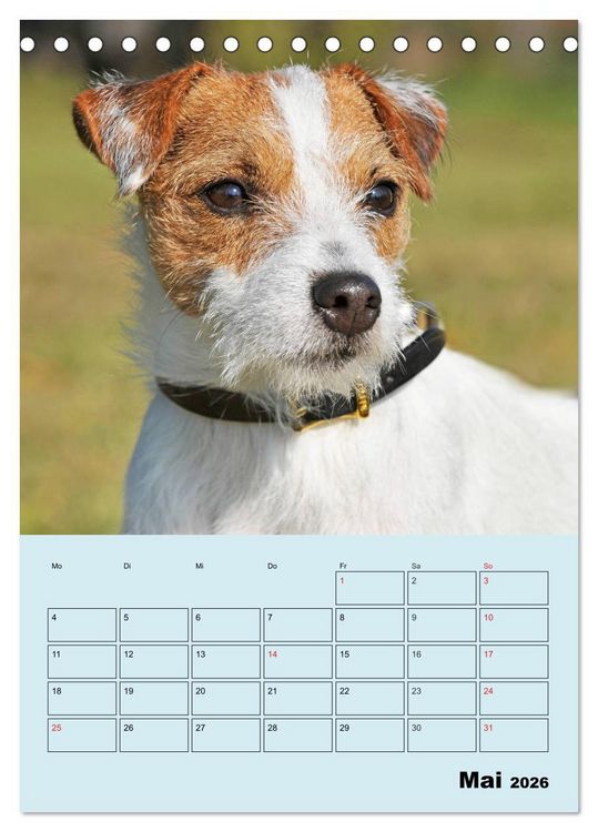 Produktbild: Familienplaner Jack und Parson Russell Terrier (Tischkalender 2026 DIN A5 hoch), CALVENDO Monatskalender