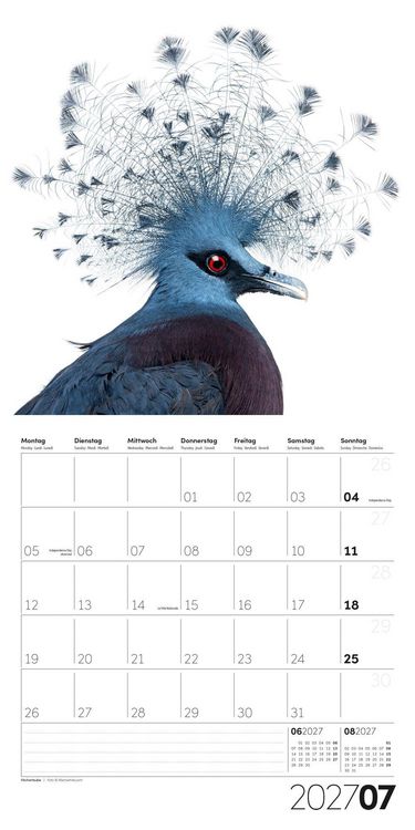 Produktbild: Animals Kalender 2027 - 30x30 - Art12