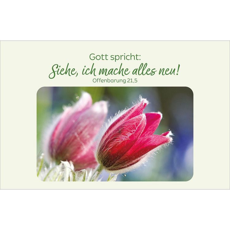 Produktbild: Bl&uuml;tenreiche Bibelverse