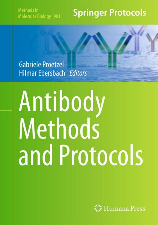 Produktbild: Antibody Methods and Protocols