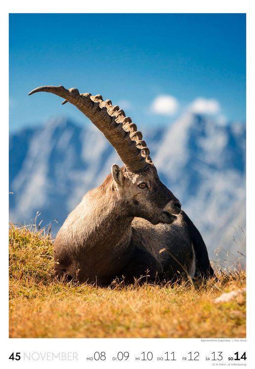 Produktbild: Natur Wochenkalender 2027