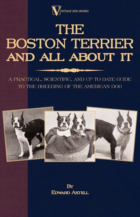 Produktbild: The Boston Terrier and All about It: A Practical, Scientific, and Up to Date Guide to the Breeding of the American Dog