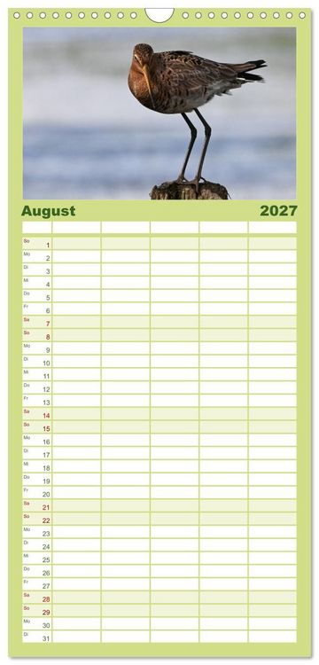 Produktbild: Familienplaner 2027 - Die bedrohten Uferschnepfen mit 5 Spalten (Wandkalender, 21 x 45 cm) CALVENDO