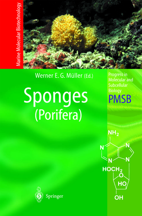 Produktbild: Sponges (Porifera)