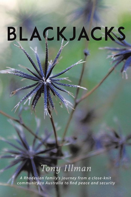 Produktbild: Blackjacks