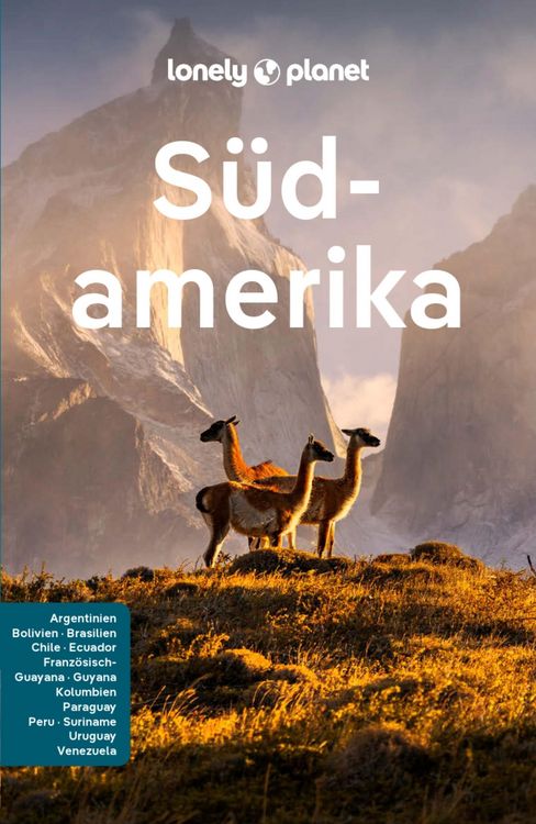 Bild vom Artikel LONELY PLANET Reiseführer E-Book Südamerika vom Autor Robert Balkovich