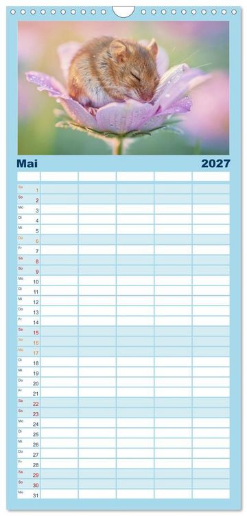 Produktbild: Familienplaner 2027 - Zwischen den Feldern mit 5 Spalten (Wandkalender, 21 x 45 cm) CALVENDO
