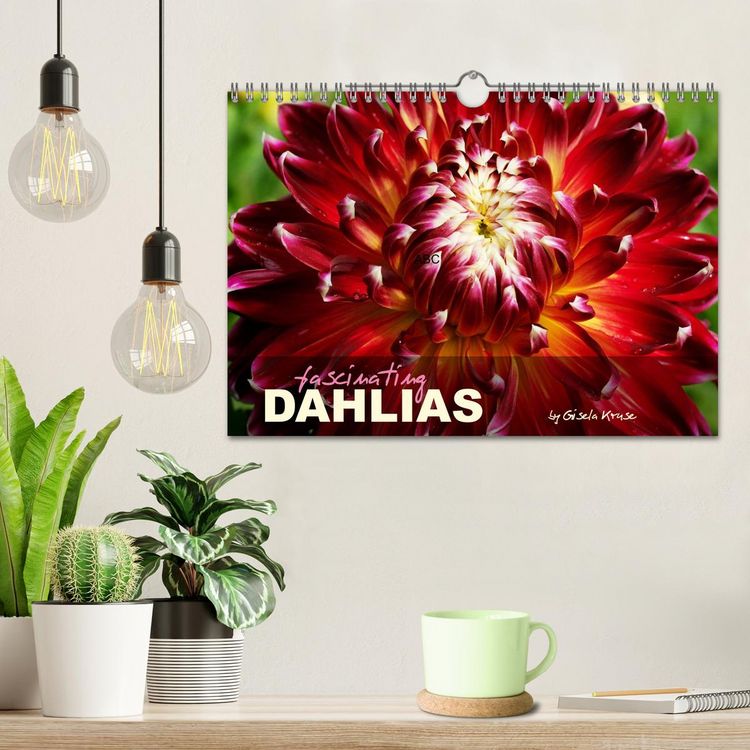 Produktbild: Fascinating Dahlias (Wall Calendar 2026 DIN A4 landscape), CALVENDO 12 Month Wall Calendar
