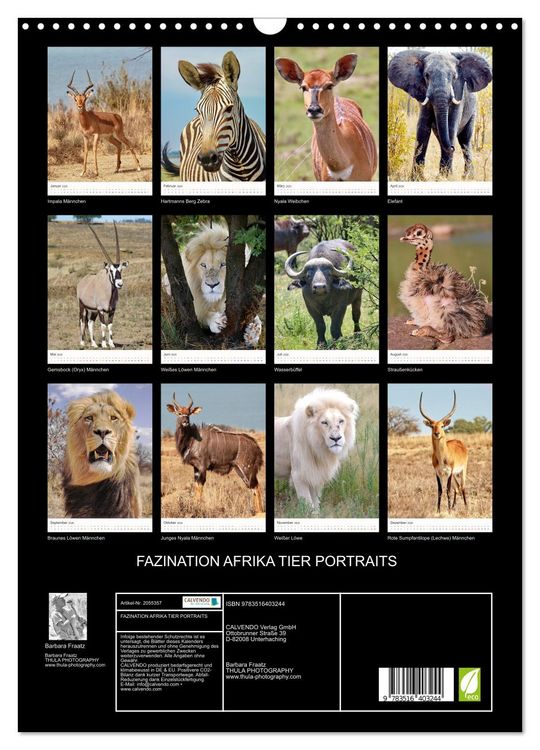 Produktbild: FAZINATION AFRIKA TIER PORTRAITS (Wandkalender 2026 DIN A3 hoch), CALVENDO Monatskalender