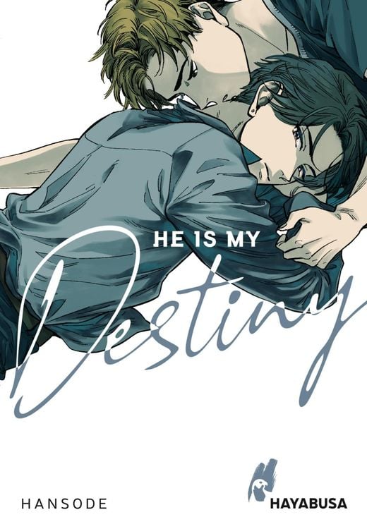 Produktbild: He is my Destiny